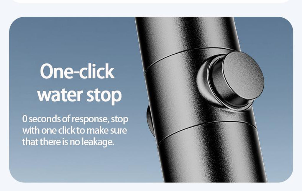 6-Function High-Pressure Shower Head